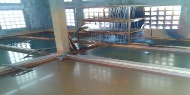 tái nhiễm vi sinh