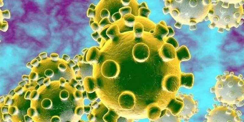 Dịch bệnh Corona