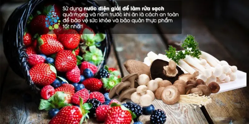ử Dụng Nước Điện Giải Để Làm Sạch Thực Phẩm