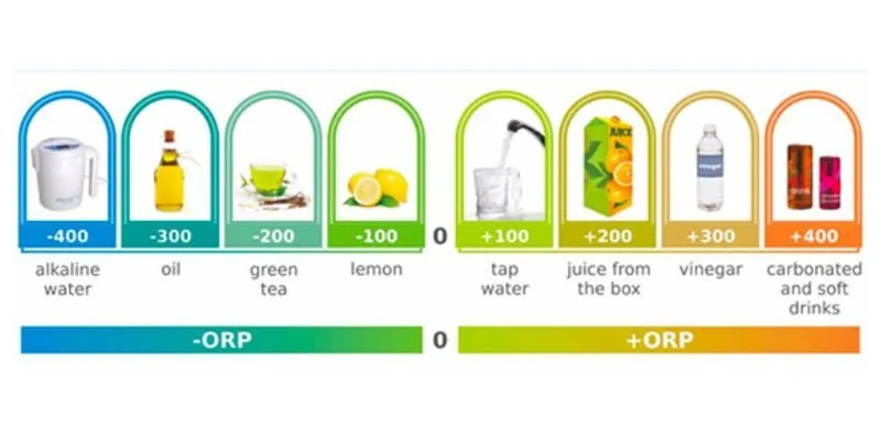 Chỉ số ORP