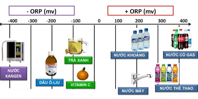Chỉ số ORP