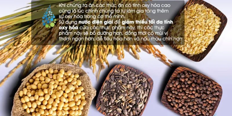 ử Dụng Nước Điện Giải Để Làm Sạch Thực Phẩm